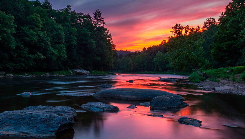 Trails That Are a Perfect Escape Into Nature