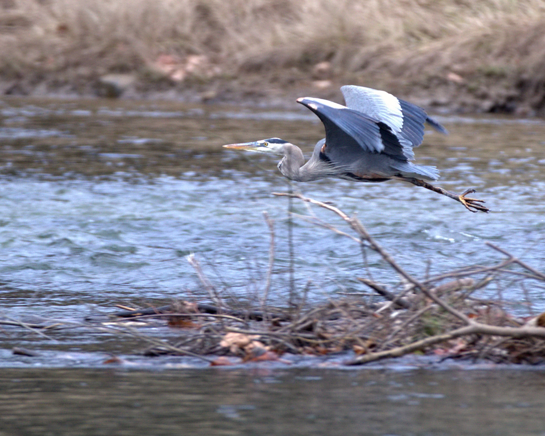 Jefferson County Hunting and Fishing Guide