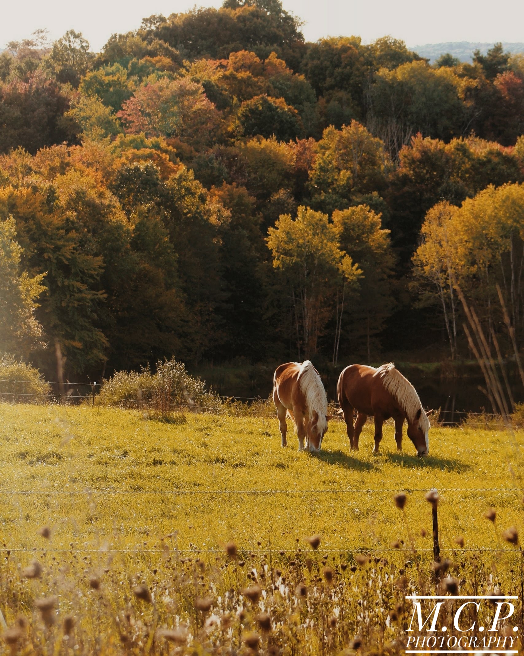 Agricultural Pursuits in Jefferson County